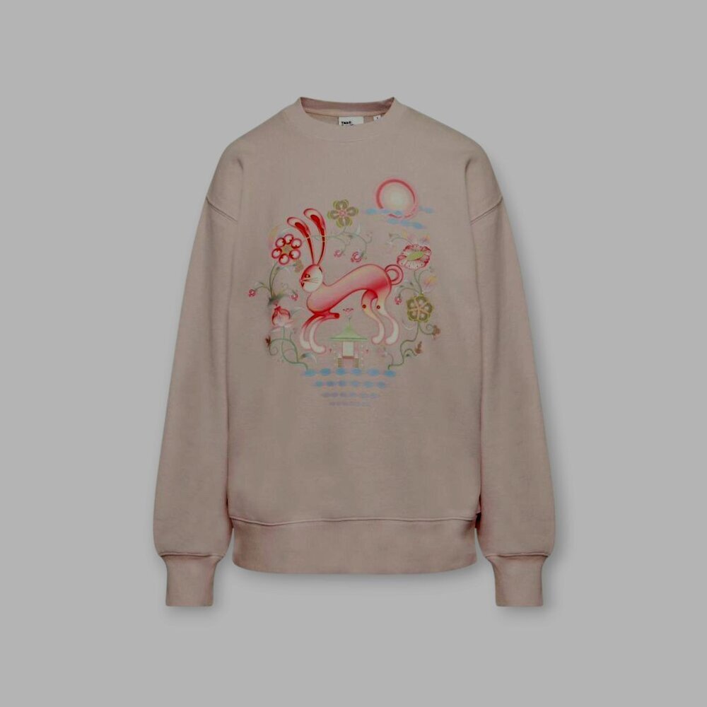 Aritzia TNA Year of the Rabbit Sweatfleece Hoodie 2XS Pale Pink Boyfriend Fit - Picture 9 of 10